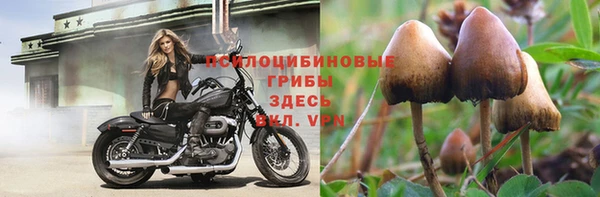 Альфа ПВП Гусев