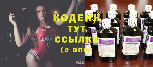 Альфа ПВП Гусев