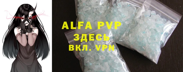 Альфа ПВП Гусев