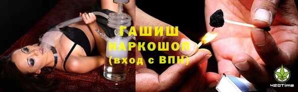 ПСИЛОЦИБИНОВЫЕ ГРИБЫ Гусь-Хрустальный