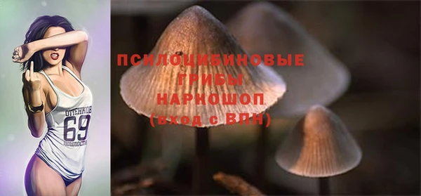 индика Семёнов