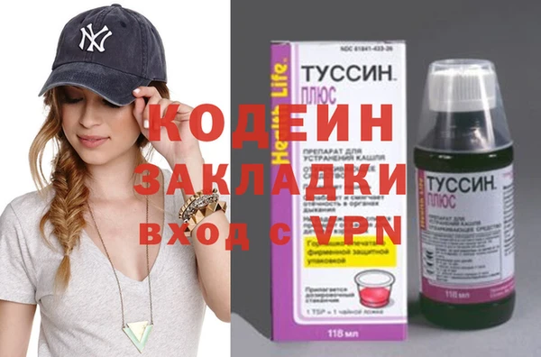 ПСИЛОЦИБИНОВЫЕ ГРИБЫ Гусь-Хрустальный